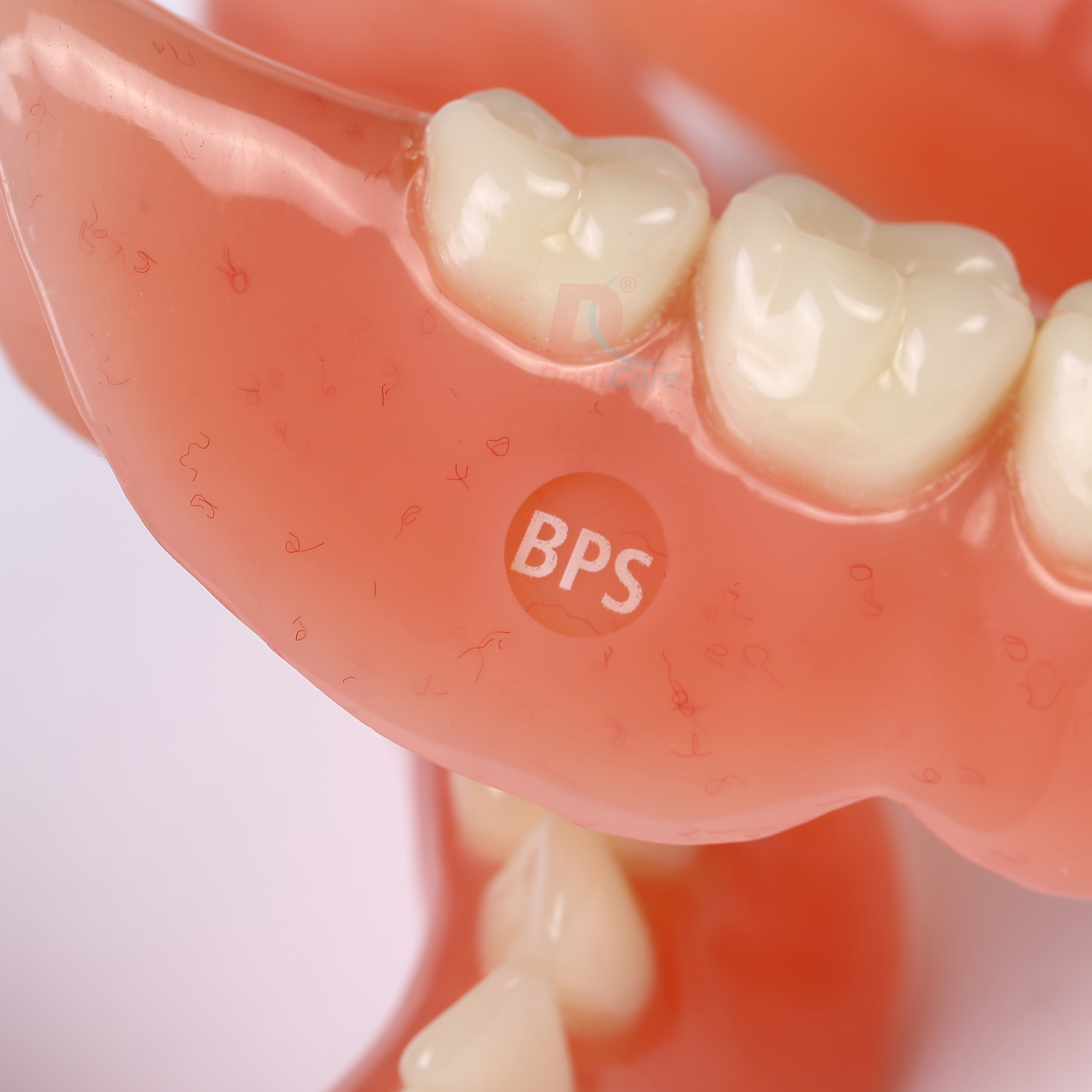 Bps Dentures Fixing